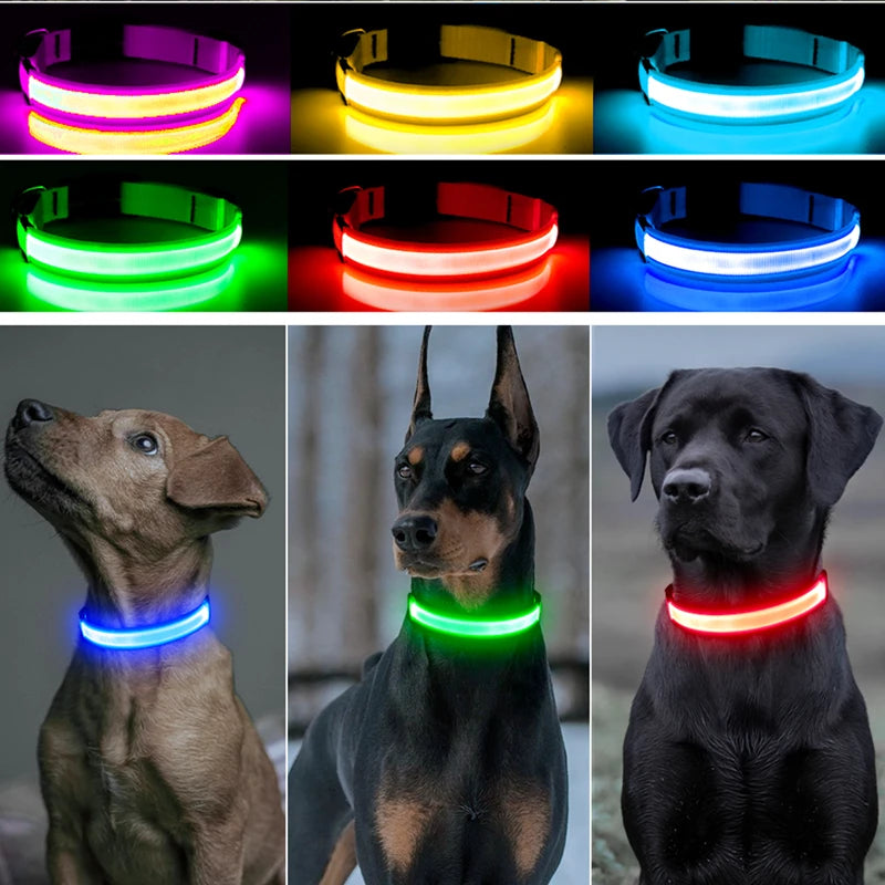 USB Rechargeable Luminous Collar size S
