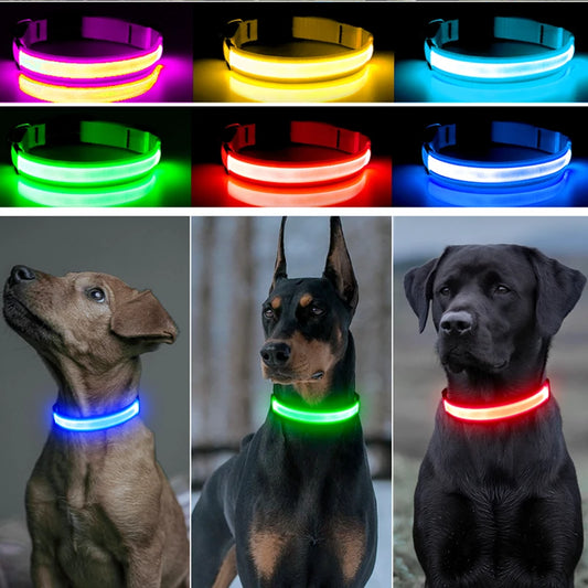 USB Rechargeable Luminous Collar size S