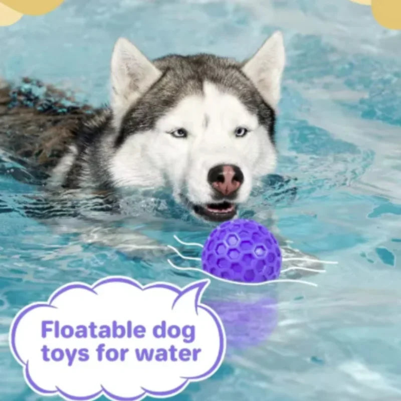 Interactive Rubber Ball Dog