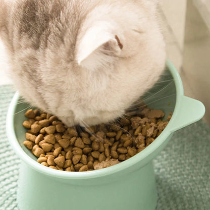 Pet Ceramic Bowl