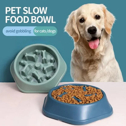 Pet Food Bowl