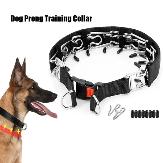 Dog Training Collar  size L