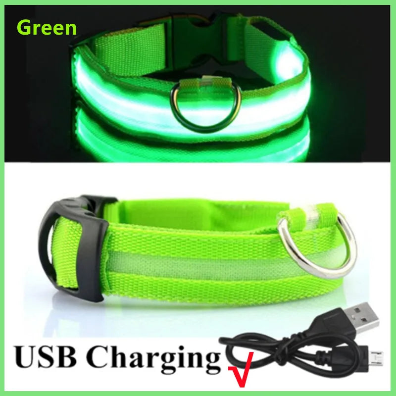 USB Rechargeable Luminous Collar size M