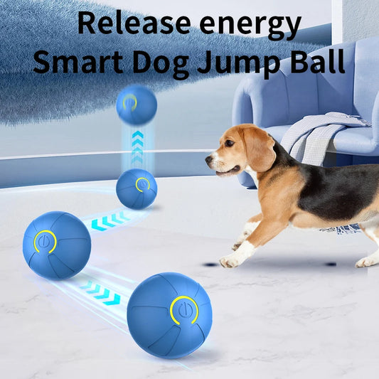 Interactive Pet  Ball