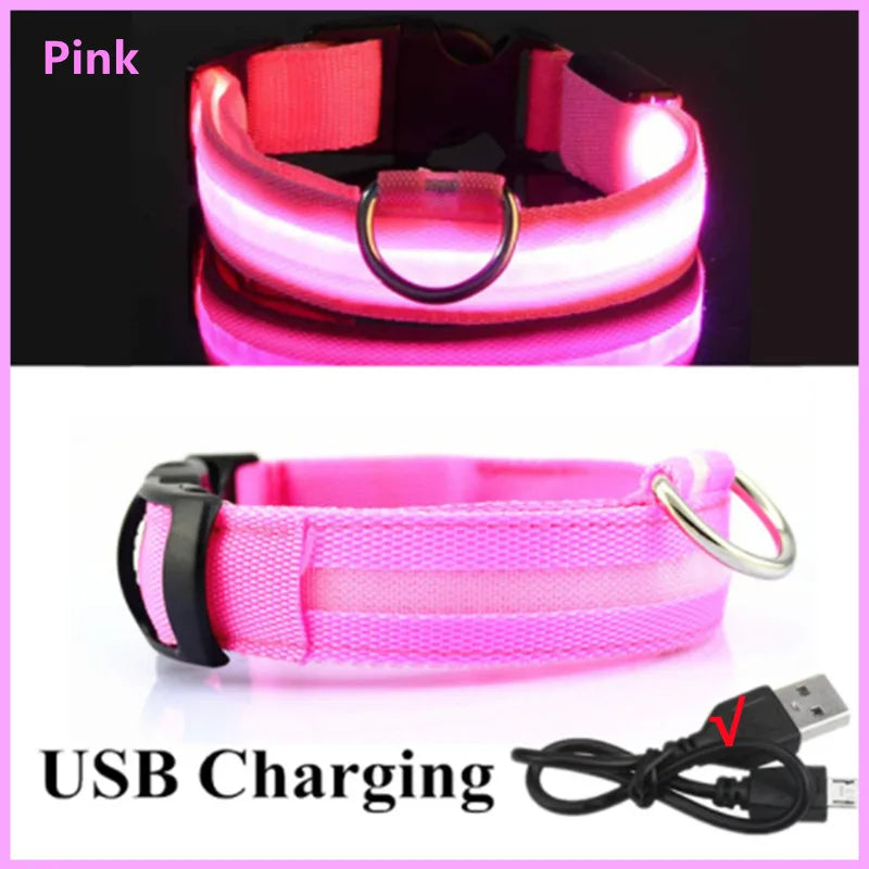 USB Rechargeable Luminous Collar   size S