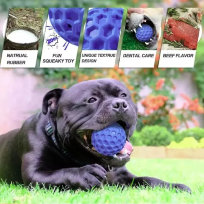 Interactive Rubber Ball Dog