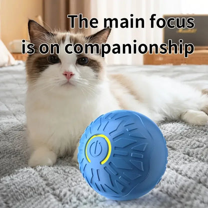 Interactive Pet  Ball