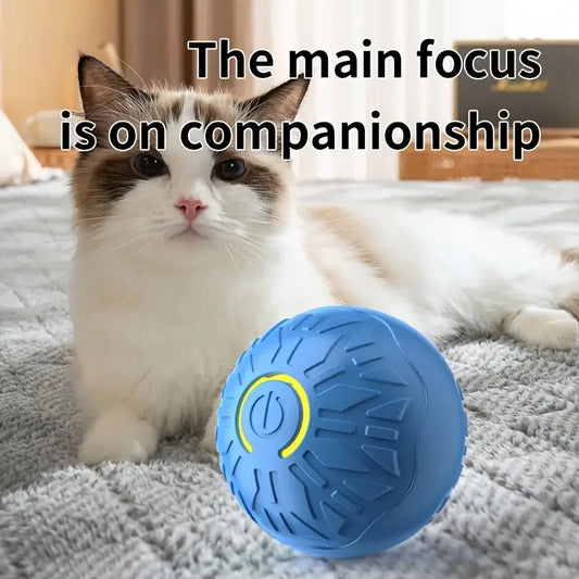 Interactive Pet  Ball