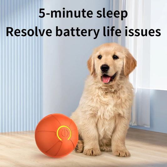 nteractive Pet  Ball